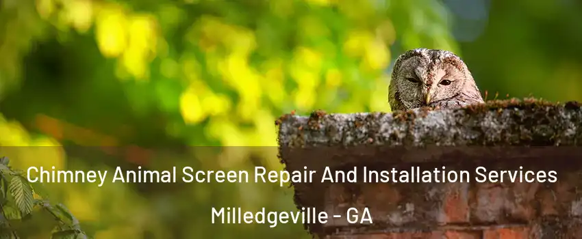  Chimney Animal Screen Repair And Installation Services Milledgeville - GA