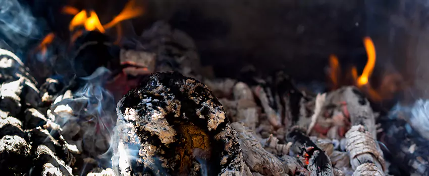 Creosote Removal Experts in Milledgeville, GA